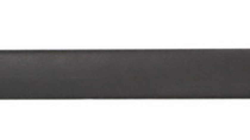 Bandou pentru usa spate stanga FORD FOCUS intre 2004-2008