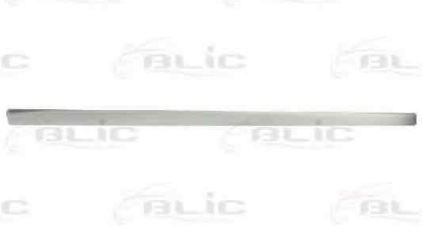 Bandou usa AUDI A4 Avant (8ED, B7) BLIC 5703-04-0019576P