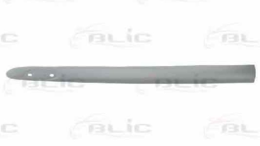 Bandou usa RENAULT CLIO II BB0/1/2 CB0/1/2 BLIC 5703-04-6032576P