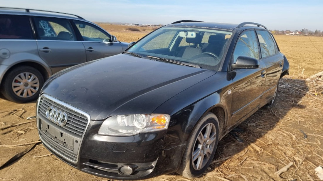 Bara fata Audi A4 B7 2007 break 2.0 BPW