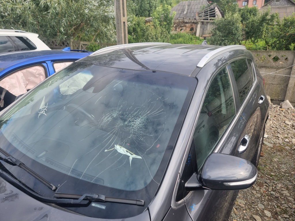 Bare cupola Kia Sportage 2017