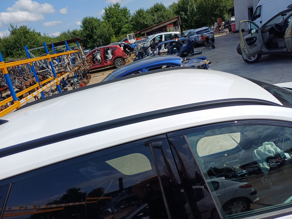 Bare cupola Renault Austral - Hybrid 2023, -