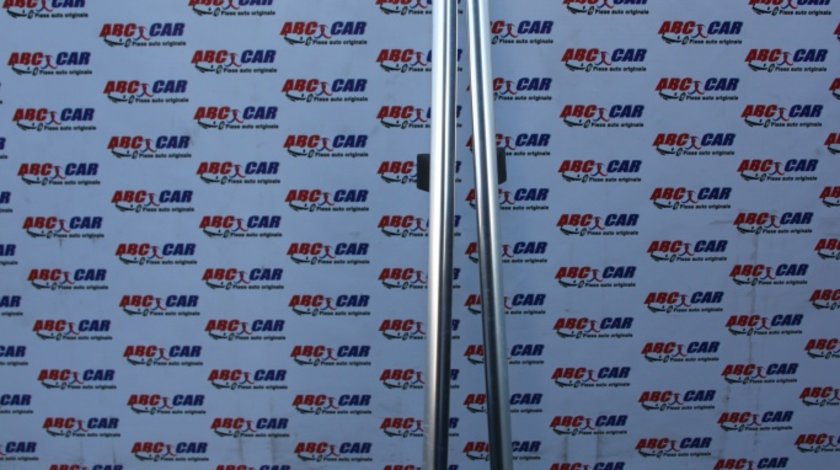 Bari longitudinale cromate VW Passat B7 Alltrack cod: 3AF860043 / 3AF860044 model 2012