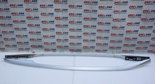 Bari longitudinale Renault Clio 3 2005-2009