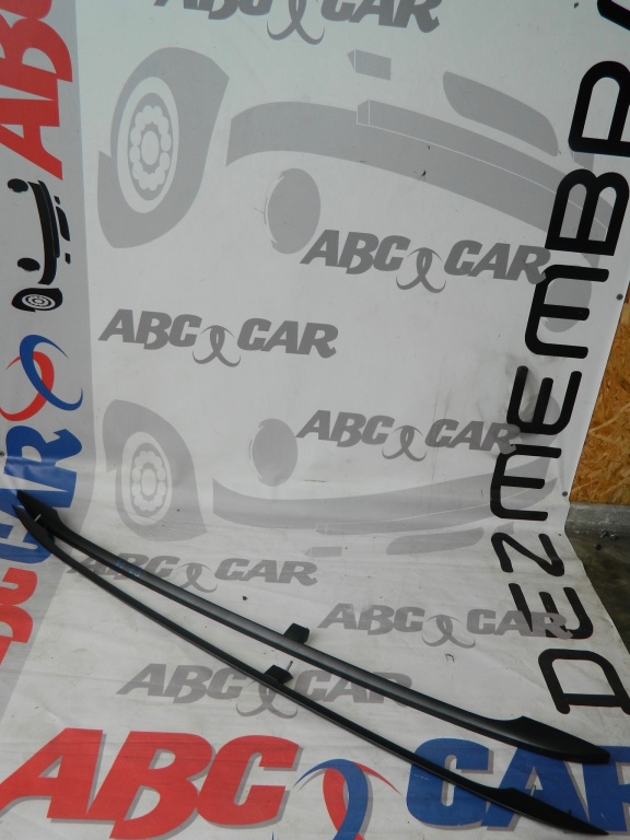 Bari longitudinale VW Passat B6 Variant