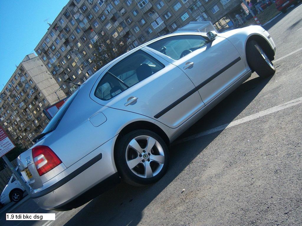 Bascule Skoda Octavia 2 1 9 Tdi Bkc 105 Cai