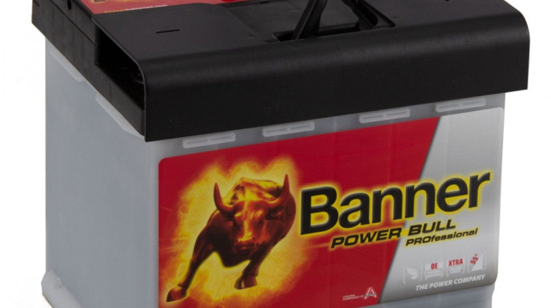 Baterie Banner Power Bull Professional 50Ah 420A 12V 013550400101