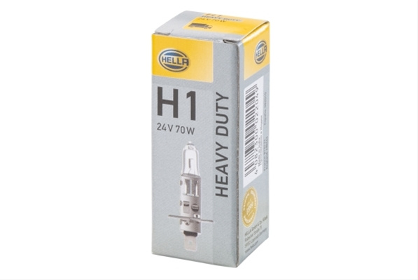 Bec, Far Faza Lunga; Bec, Far Principal; Bec, Proiector Ceata; Bec, Girofar; Bec Incandescent; Bec, Far Principal; Bec, Proiector Ceata; Bec, Girofar Hella Goldhofer 8GH 002 089-251