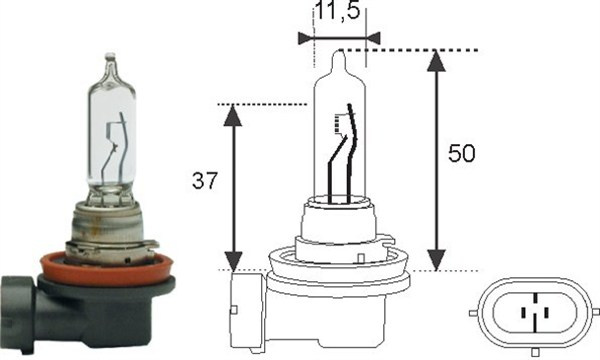 Bec incandescent (002548100000 MAGNETI MARELLI)