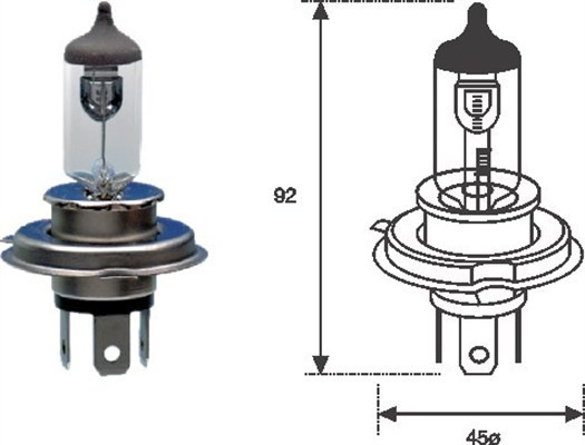Bec incandescent (002555100000 MAGNETI MARELLI)