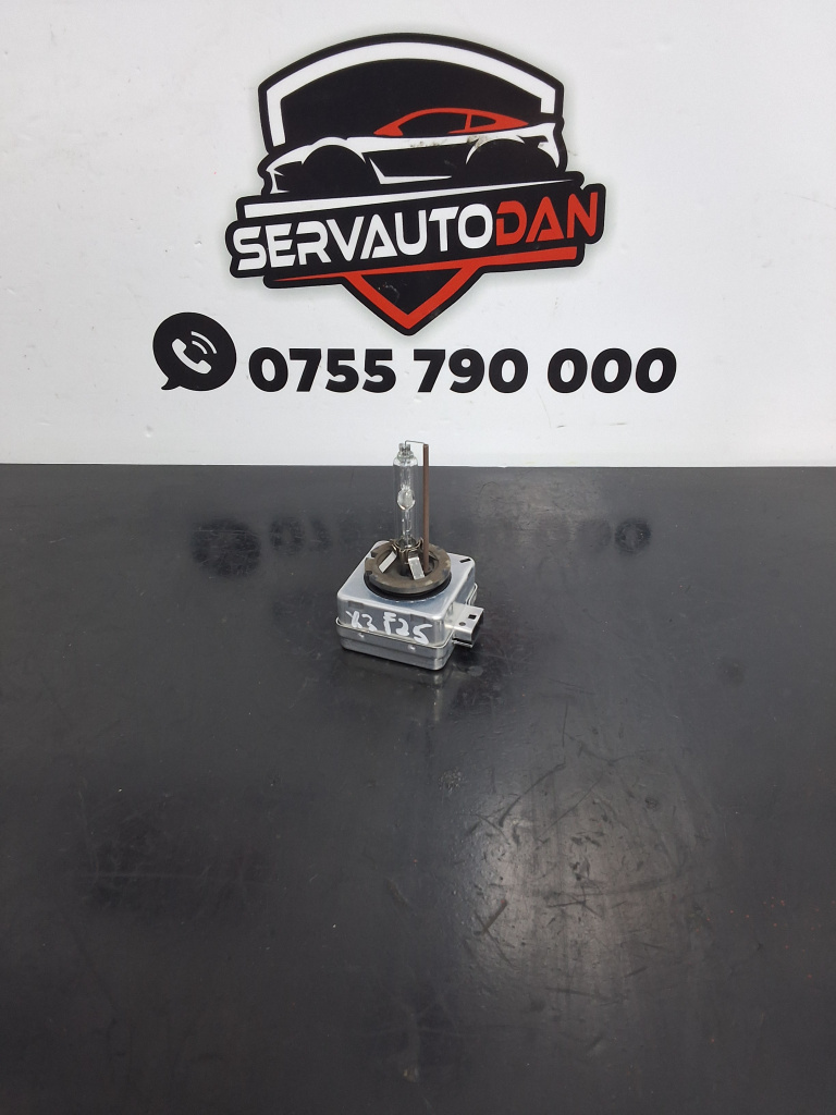 Bec xenon BMW X3 (2010-2017) [F25] 2.0 Motorina 2012, D1S