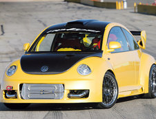 Beetle cu aspiratii de Porsche
