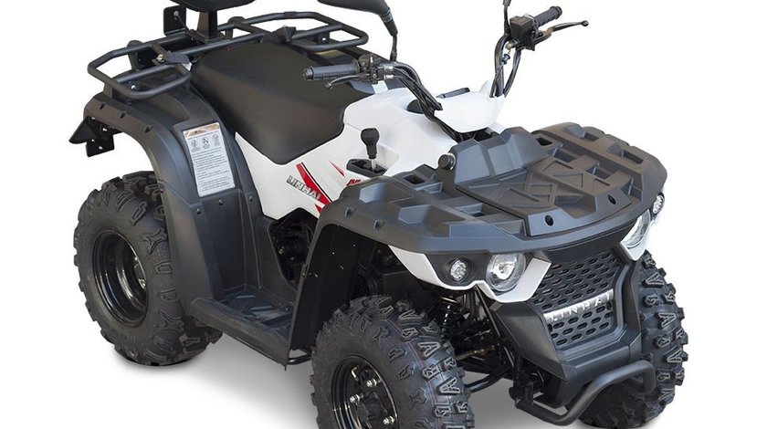 BEMI ATV Linhai M150-2x4BL model omologat T3b 1849 euro