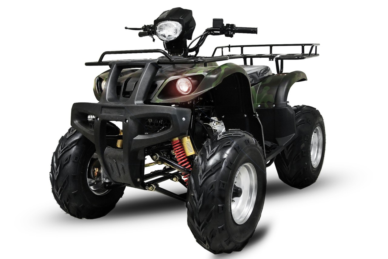 BEMI Grizzly 200CVT Full Automatic R10 P
