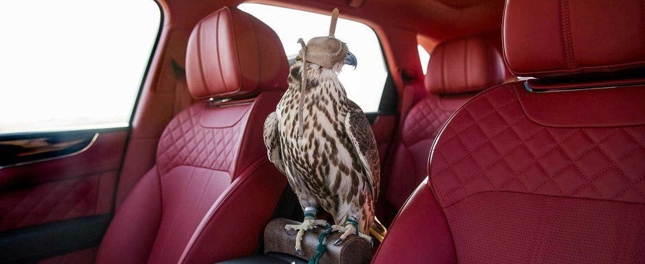 Bentley a facut un Bentayga special pentru cei care...vaneaza cu soimi. De ce? Pentru ca poate Bentley a facut un Bentayga special pentru cei care...vaneaza cu soimi. De ce? Pentru ca poate