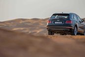 Bentley Bentayga Falconry