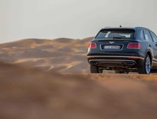 Bentley Bentayga Falconry