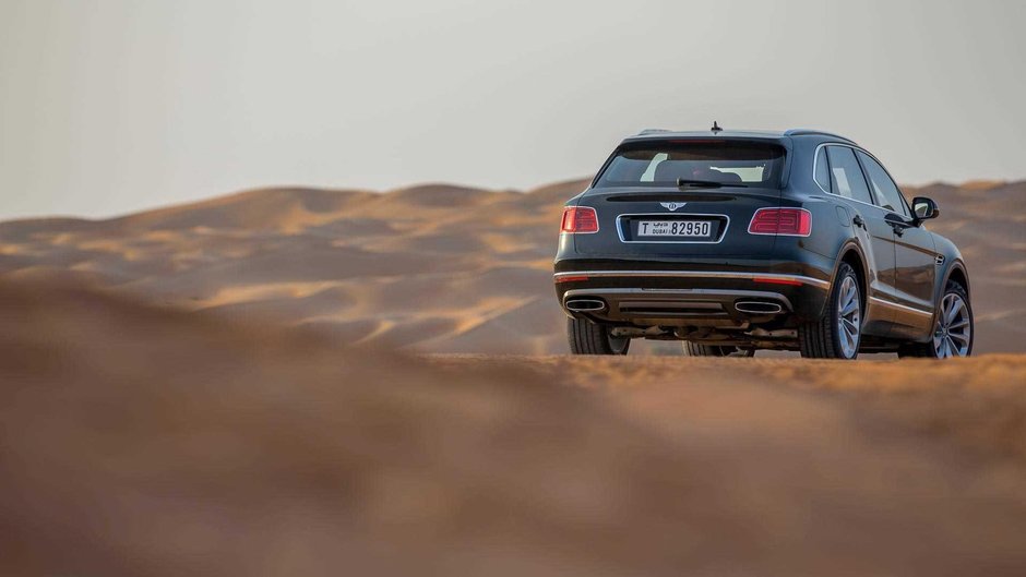 Bentley Bentayga Falconry