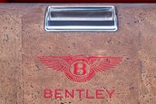 Bentley Bentayga Falconry