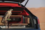 Bentley Bentayga Falconry