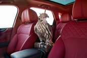 Bentley Bentayga Falconry