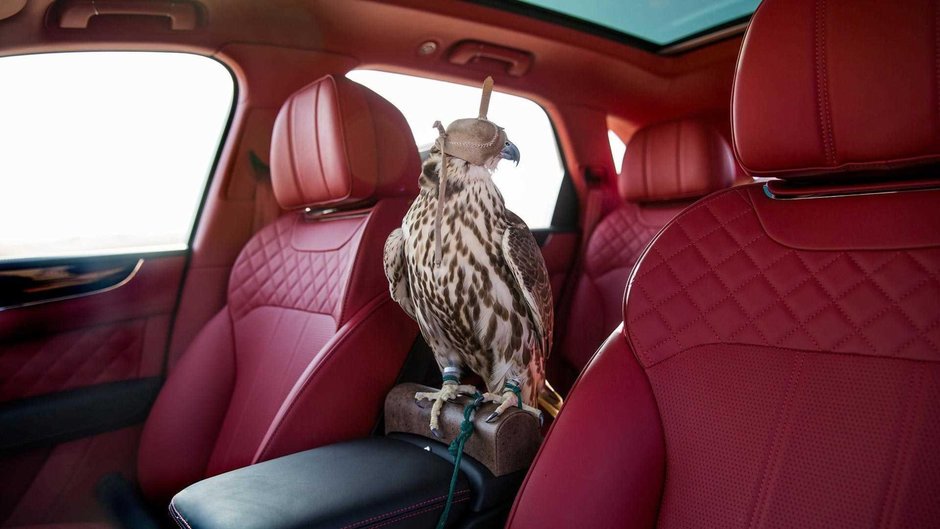 Bentley Bentayga Falconry