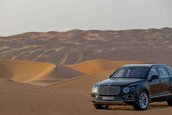 Bentley Bentayga Falconry