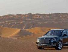 Bentley Bentayga Falconry