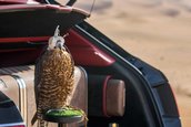 Bentley Bentayga Falconry