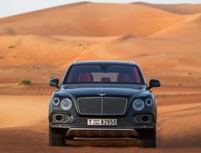 Bentley Bentayga Falconry