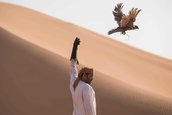 Bentley Bentayga Falconry