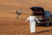 Bentley Bentayga Falconry