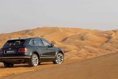 Bentley Bentayga Falconry