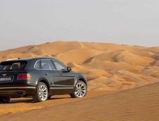 Bentley Bentayga Falconry