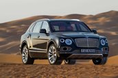Bentley Bentayga Falconry