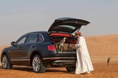 Bentley Bentayga Falconry