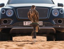 Bentley Bentayga Falconry