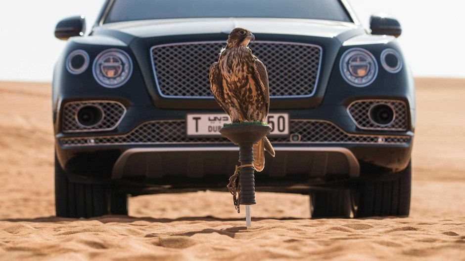 Bentley Bentayga Falconry