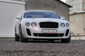 Bentley Continental by Vilner