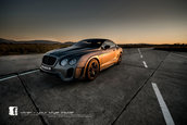 Bentley Continental GT by Vilner