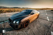 Bentley Continental GT by Vilner