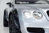 Bentley Continental GT off-road