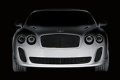 Bentley prezinta la Geneva un nou model