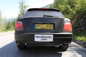 Bentley SUV - Poze Spion