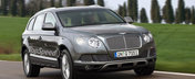 Viitorul SUV Bentley va costa 175.000 de Euro