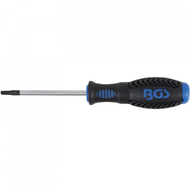 BGS-4919 Surubelnita profesionala T20x80mm