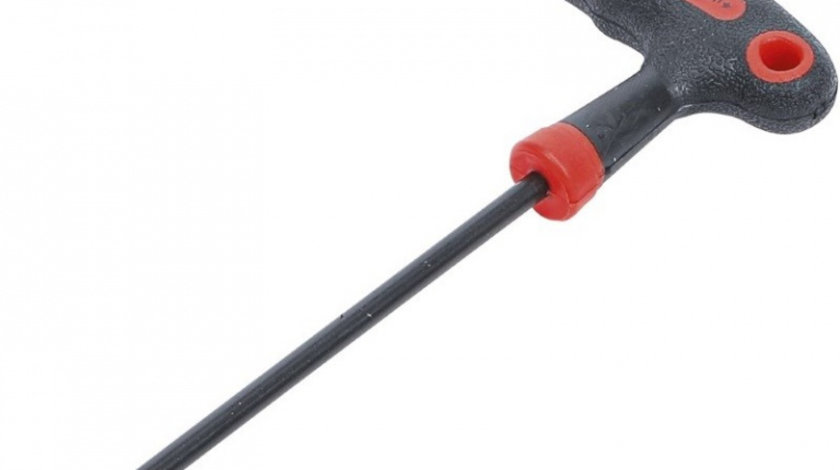 BGS-7880-T20 Imbus T Torx , T20