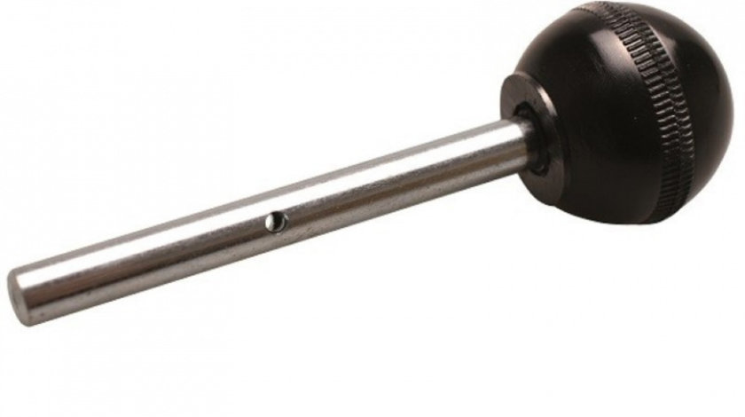 BGS-8155-20 Bolt blocaj distributie VAG