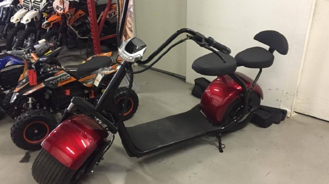Big Wheel Citycoco  9.5inch (harley electric scooter)