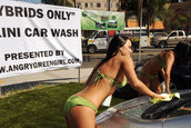 Bikini Car Wash doar pentru hibrizi